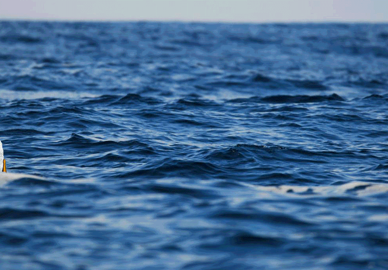 select-and-mask-tutorial